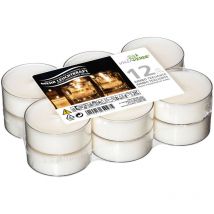 Villa Verde - Jumboteelichte weiß ca. 8 Stunden Brenndauer XXL-Teelichte 2 cm hoch