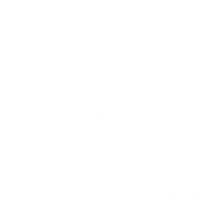 Villeroy&boch - Dornbracht Gittereinsatz für Ablage, Wandmodell 200 mm,