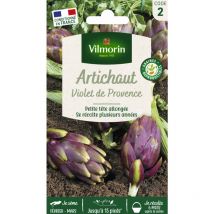 Artichaut Violet de Provence