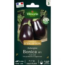 Aubergine Bonica HF1 - Graines d'Exception