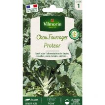Chou Fourrager Protéor (Obtention i.n.r.a.)