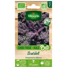 Vilmorin - Sachet de graines Chou Frisé ( Kale ) Rouge Scarlet bio