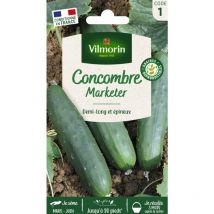 Concombre Marketer