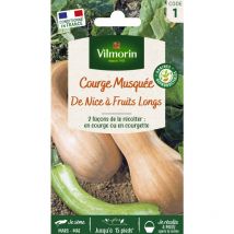 Courge Musquée de Nice à Fruits Longs