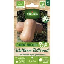 Courge Musquée Waltham Butternut - bio