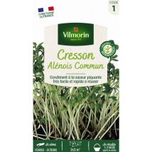 Cresson Alénois Frisé