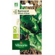 Epinard Géant d'Hiver - bio