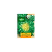 Escarola Seeds Ruffec S-1 902, Oltre 8 Gr - Vilmorin
