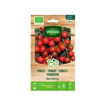 Garten Bio -Tomatensamen rote Kirsche ca. 0,2 gr - Vilmorin