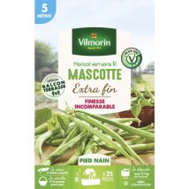 Haricot Nain Vert Mascotte - 5 m
