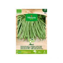 Vilmorin - jardín bio Semillas de Judía mata baja maxi, Caja 100 gr