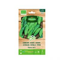 Jardín bio Semillas de Pepinillo hokus Sobre 2 gr - Vilmorin