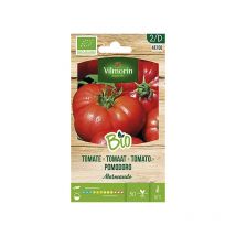 Jardín bio Semillas de Tomate Marmande Bio Sobre 0,3 gr - Vilmorin