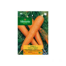 Karottensamen Flakee 2 S-1 608, 8 gr - Vilmorin