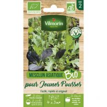 Mesclun Asiatique pour Jeunes Pousses - bio