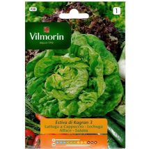 Vilmorin Salatsamen Kagraner Sommer, Ref: 928, 7 Gr