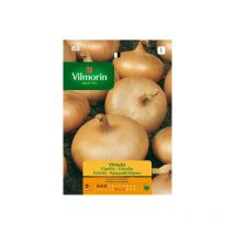 Vilmorin - Semillas de cebolla virtudes S-1 632, 5 gr