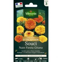 Souci Nain Fiesta Gitana