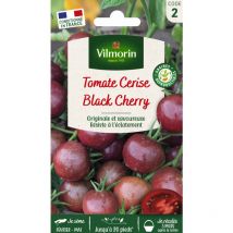 Tomate Black Cherry