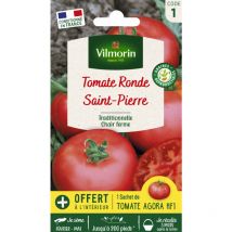 Tomate Saint-Pierre + échantillon Agora HF1