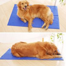 Tapis de refroidissement Accumulateur de refroidissement Preuve de moisissure Auto-refroidissant Coussin de refroidissement Couverture de