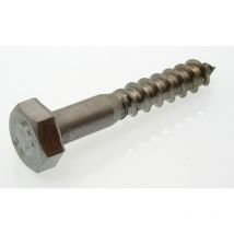 TOPCAR - 100 tirefonds inox - 571-10X60