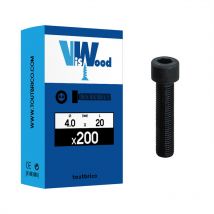 200 vis 6 pans creux 4 x 20mm chc 8.8 brut Viswood