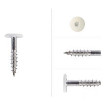 Vis à tête colorée en acier inoxydable blanc 4.8 x 25 mm - Boîte de 100 pièces