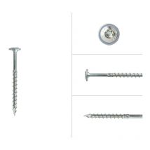 Vis à tête disque galvanisée 6.0 x 80 mm Torx 30 - Boîte 100 pièces