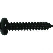 Vis autoforantes noires 4.2 x 25 mm tête cylindrique - 50 pièces