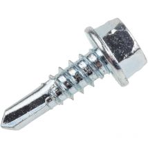 Vis autoforeuse Rs Pro Acier ( Prix pour Boîte de 100 )
