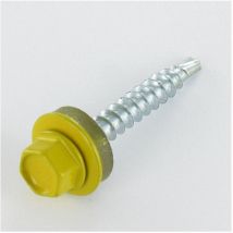 Vis autoperceuse Tête hexagonale th 4.8X35 Rondelle d'étanchéite avec joint néoprene epdm Acier zingué RAL1032-10 pièces