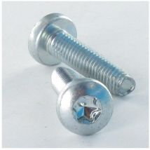 Vis Express - Vis autotaraudeuse Tête cylindrique large tcl 2.5X12 torx T8 Acier zingué-100 pièces