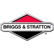 Briggs&stratton - Vis Briggs et Stratton - 699691