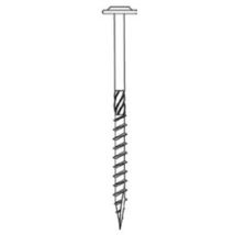 Tornillo estructural Senco hbs Acero galvanizado forjado de cabeza ancha T30 - 6