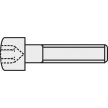 Vis cylindrique TOOLCRAFT 839666 20 pc(s) M2.5 16 mm tête cylindrique 6 pans intérieurs acier N/A