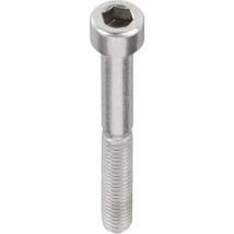 Vis cylindrique Toolcraft 839708 100 pc(s) M4 8 mm tête cylindrique 6 pans intérieurs acier inoxydable n/a