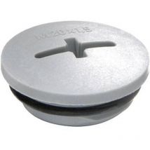 Vis de fermeture evsg-ord M50 ral 7001 Wiska 64656 10064656