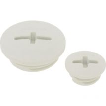 Vis de fermeture LAPP 52006131 M25 M25 Polyamide 1 pc(s) X79277