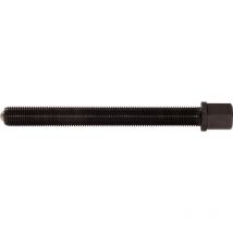 Vis de force 17x130 mm