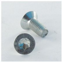 Vis Express - Vis autotaraudeuse Tête fraisée tf torx T20 4X8 Inox A2-100 pièces