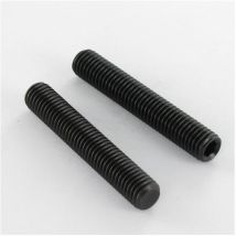 Vis métaux Sans tête six pans creux (sthc) Clé de 5 HC5 M10X12 Bout plat Acier brut-1 piece