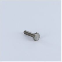 Vis métaux Tête cylindrique large tcl Fendue M5X6 Acier zingué-500 pièces