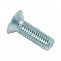 D-work - Vis métaux tête fraisée Pozidriv 10 x 25 mm Zinguée - Boite de 100 pcs - Fixtout VMFC1002502B