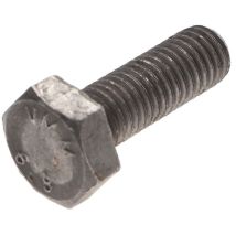 Vis Express - Vis métaux Tête hexagonale th M2X16 Acier brut-10 pièces