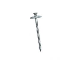 Vis parapluie inox 18/10 clair 65x4.5 mm à tête Torx n°20 - Boite de 50 Dimos 774651