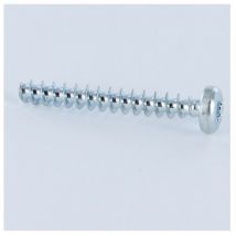 Vis PVC Tête cylindrique TC TORX T20 5X20 Acier zingué Embase collerette Sans pointe-1 piece