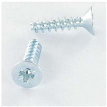 Vis Express - Vis métaux Tête cylindrique large tcl M5X10 T25/F Imperdable Acier zingué-100 pièces