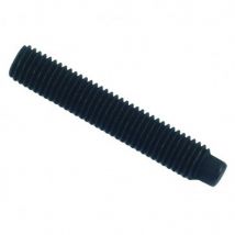 Lennie - Vis sans tête à bout téton six pans creux (sthc) brut - 10 x 20 mm- Vendu par 200