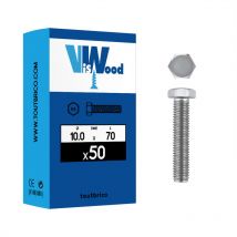 50 vis 10x70mm tête hexa zingué Viswood